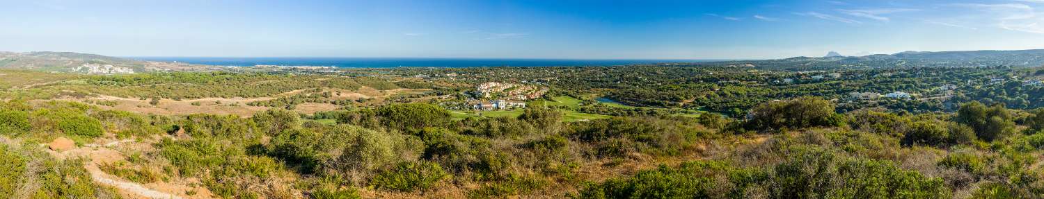 11 parcelas en venta en Sotogrande  alto